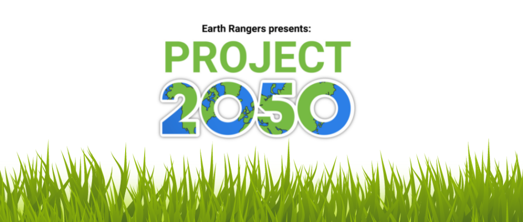 Centre for indigenous environmental resource logo